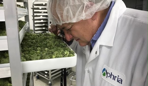 Night Ax  Cannabis CBD Cannabisblüten und Vapes in Deutschland Entdecke unser Sortiment verschiedene Produkte und informative Inhalte rund um Cannabis