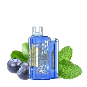Blueberry Mint IGET Flare B10000 Puffs – Vape
