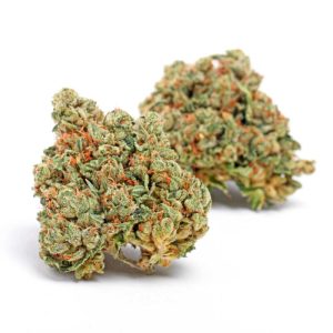 ParisOgCannabisStrain Night Ax Night Ax Cannabis CBD Cannabisblüten und Vapes in Deutschland Entdecke unser Sortiment verschiedene Produkte und informative Inhalte rund um Cannabis