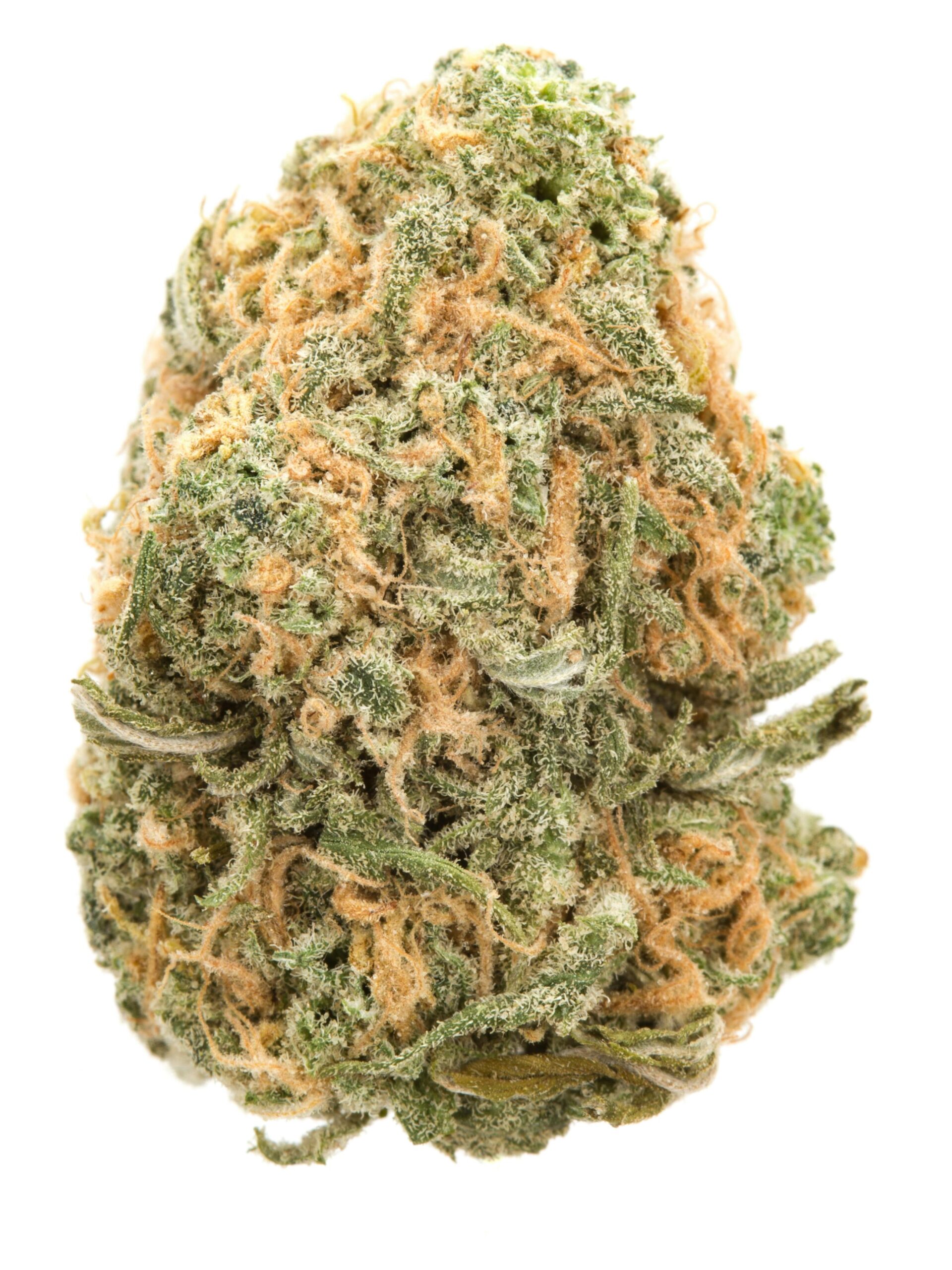 BlueDreamscaled Night Ax Night Ax Cannabis CBD Cannabisblüten und Vapes in Deutschland Entdecke unser Sortiment verschiedene Produkte und informative Inhalte rund um Cannabis