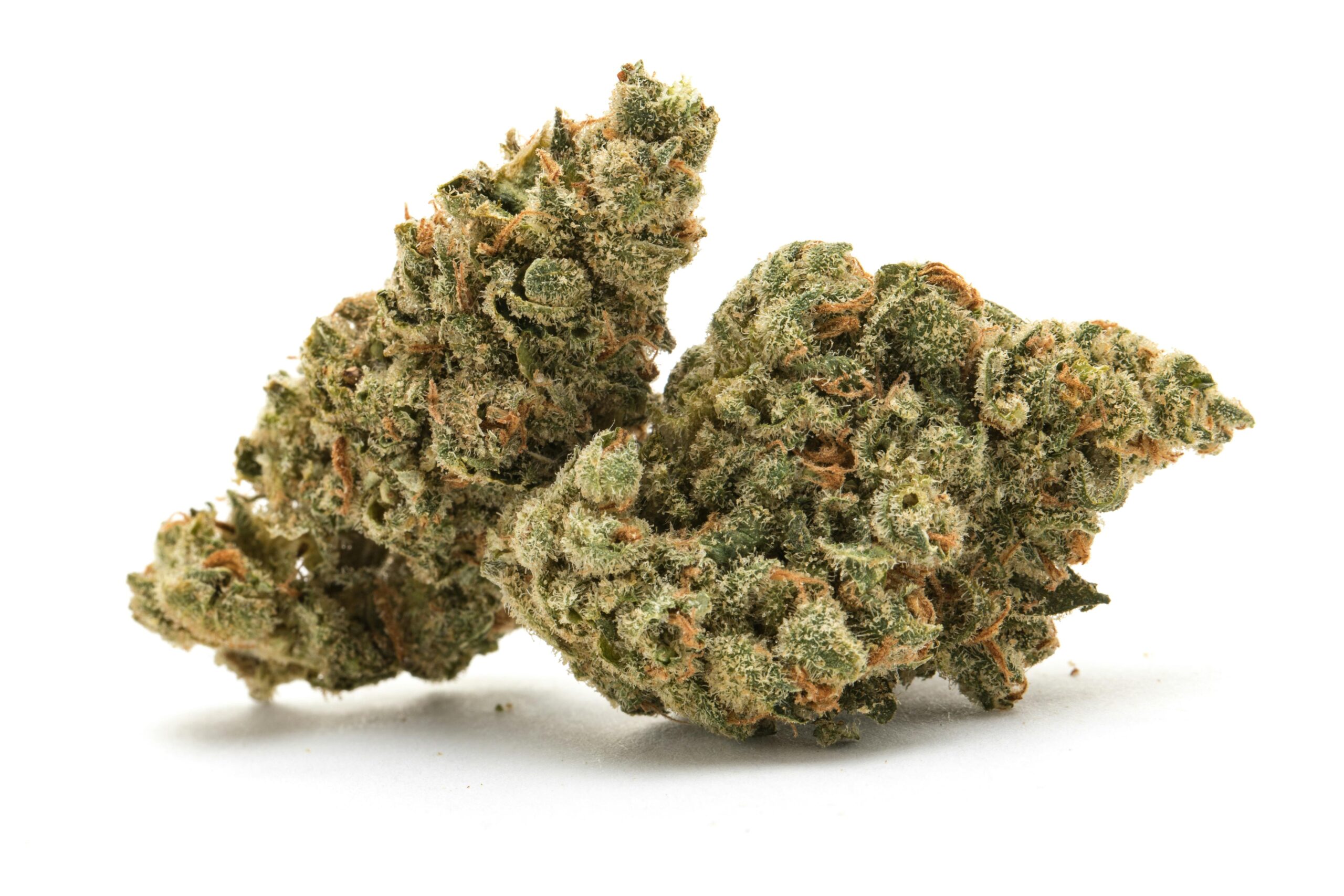 JupiterOgscaled Night Ax Night Ax Cannabis CBD Cannabisblüten und Vapes in Deutschland Entdecke unser Sortiment verschiedene Produkte und informative Inhalte rund um Cannabis